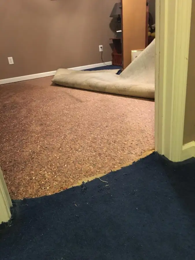 Carpet pad removal revealing water damage during Drying & Dehumidification in Bloomington