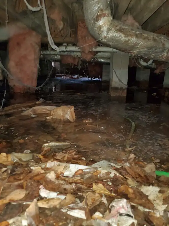 Crawl space flood assessment for Leak Detection & Repair in Bloomington
